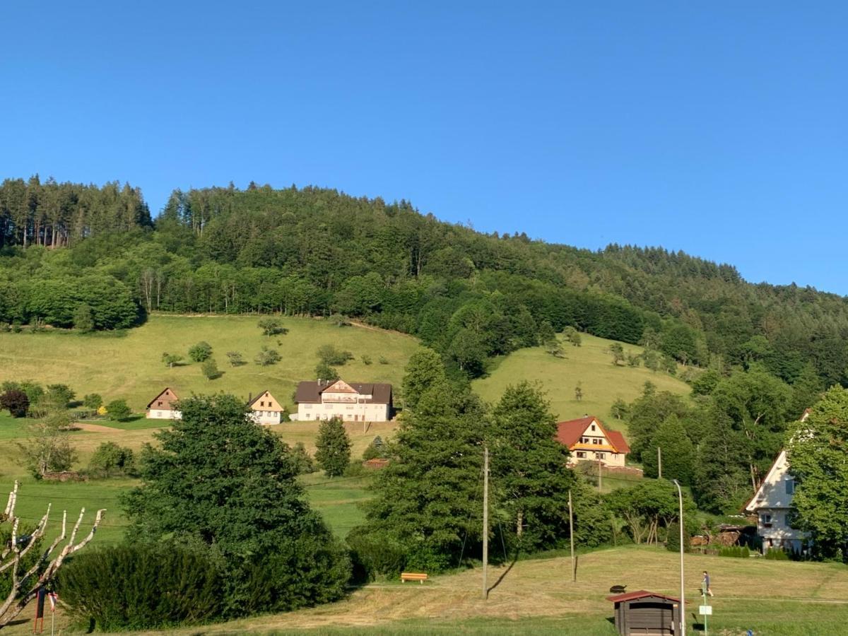 Hotel & Restaurant Muhlengluck Oppenau Zewnętrze zdjęcie